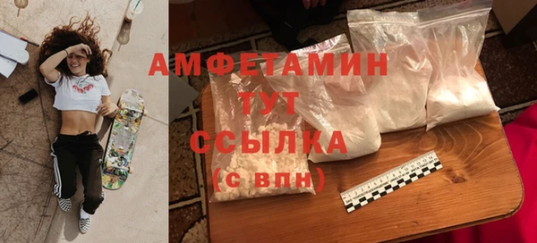 ГАЛЛЮЦИНОГЕННЫЕ ГРИБЫ Инта
