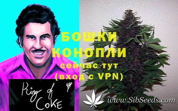 PSILOCYBIN Арсеньев