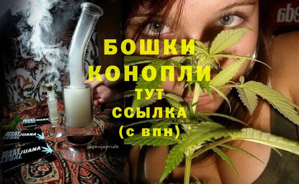 PSILOCYBIN Арсеньев