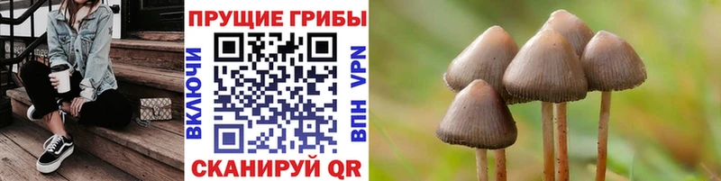 Псилоцибиновые грибы Magic Shrooms  купить  цена  Мезень 